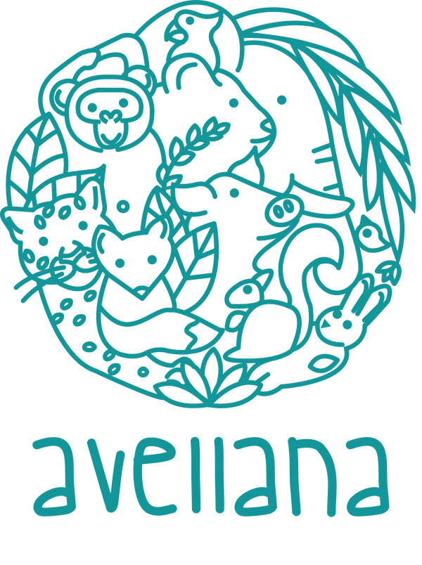 Nibu